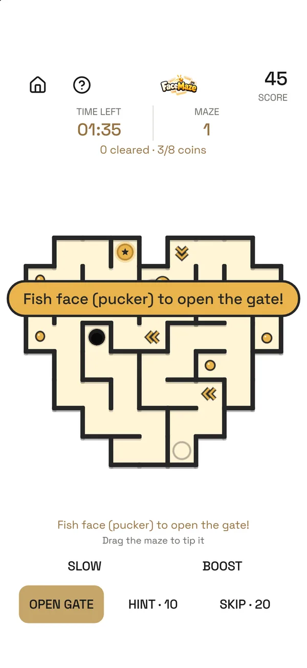 FaceMaze, screen 3